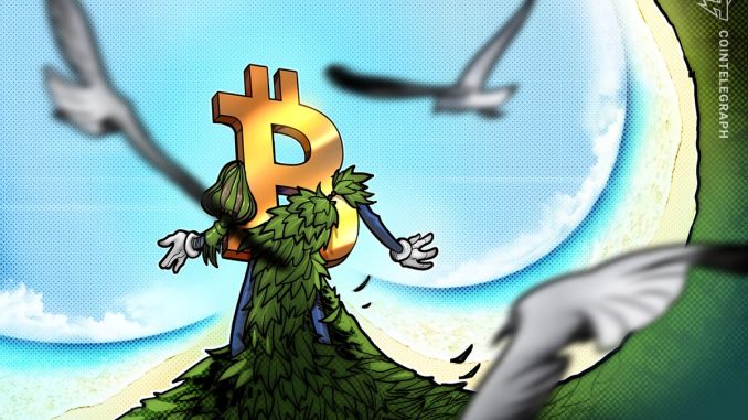 Greenpeace war on Bitcoin unintentionally spawns 'badass' new mascot