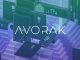 Avorak AI CEO Explains How Hardware Wallets Remain Safe