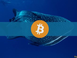 Bitcoin Whale Address Activates After Decade, Transfers $37.8M Worth of BTC