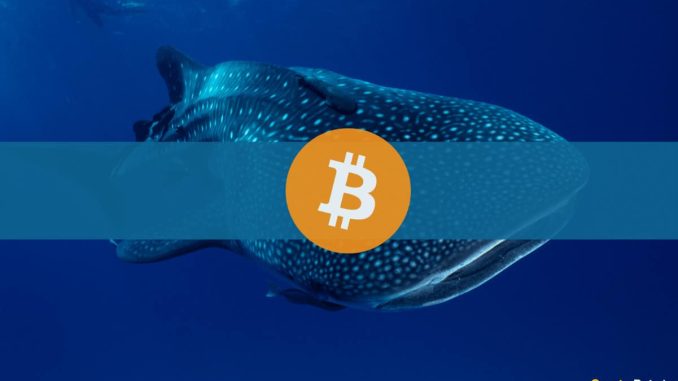 Bitcoin Whale Address Activates After Decade, Transfers $37.8M Worth of BTC