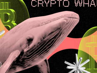 Crypto Whales Scoop Up These Altcoins: Potential Gains Ahead?