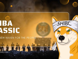 Embracing the True Spirit of Decentralization: Shiba Classic – Your New Haven!